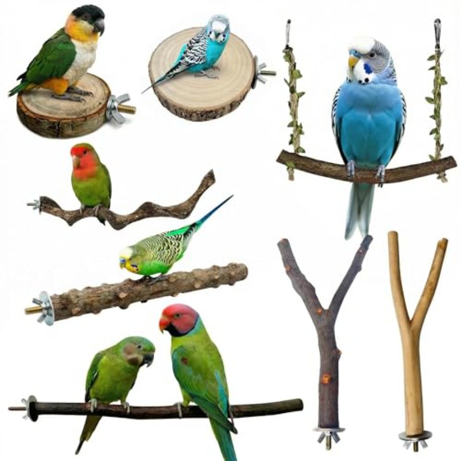 Health & Wellness Resources - 8PCS natural wood bird perches for