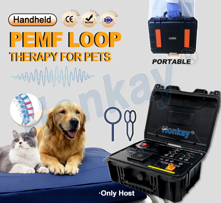 Personal Pet Care PEMF Device  - Health Wellness Massage review and price