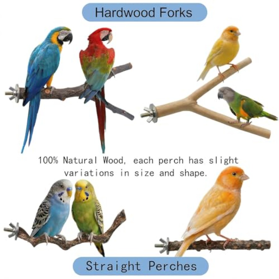 8PCS natural wood bird perches - Health & Wellness Resources review and price